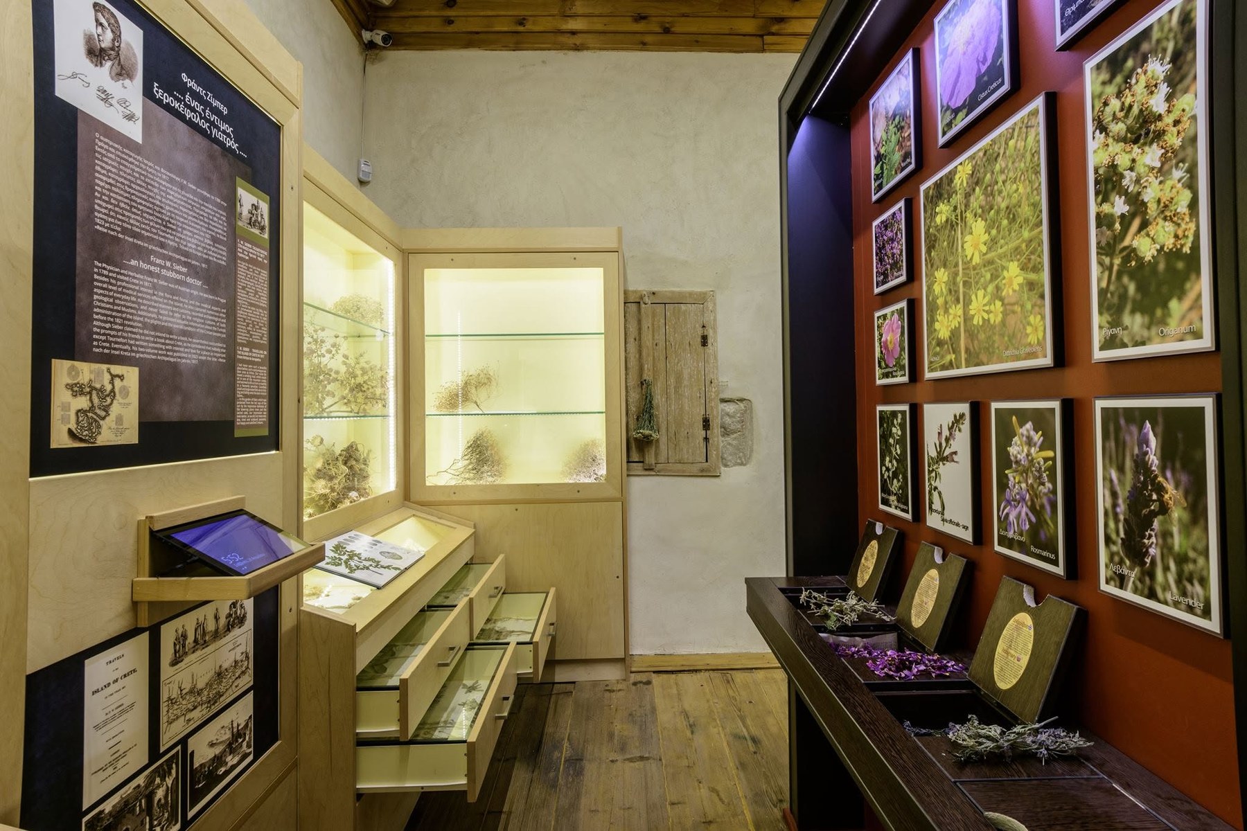 Interior of Rodanthi Museum with botanical displays